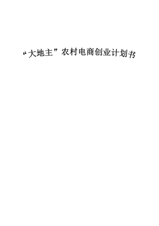 “大地主”农村电商创业计划书