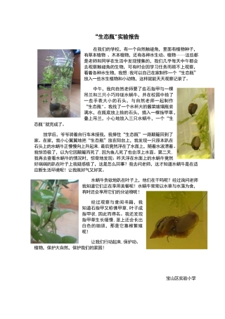 “生态瓶”实验报告