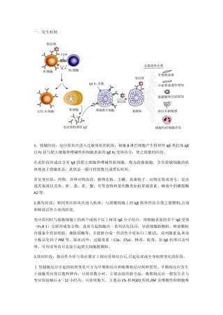 Ⅰ型超敏反应的发生机制和防治原则
