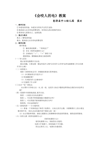 《会咬人的电》教案