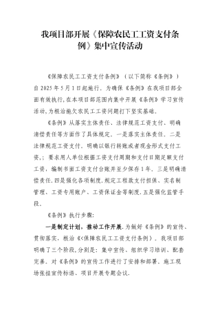 《保障农民工工资支付条例》工作总结