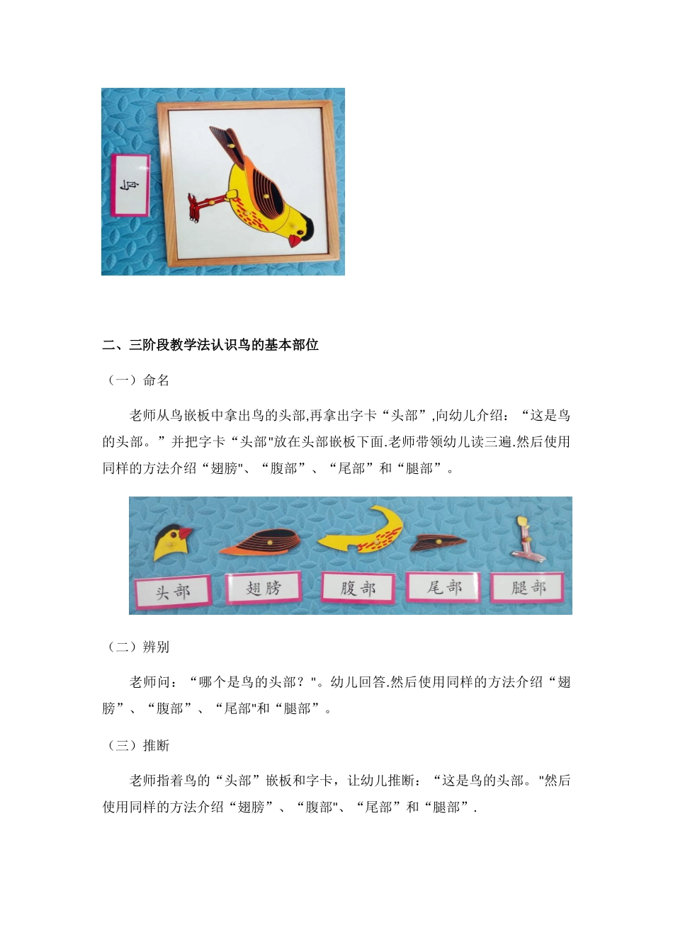 《动物嵌板教案》之鸟嵌板_第3页