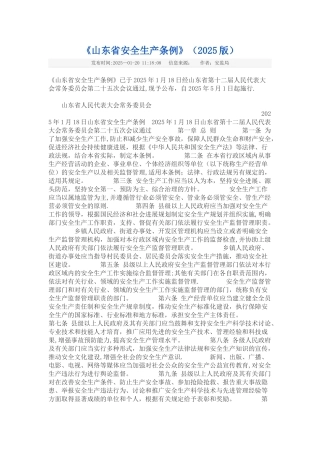《山东省安全生产条例》