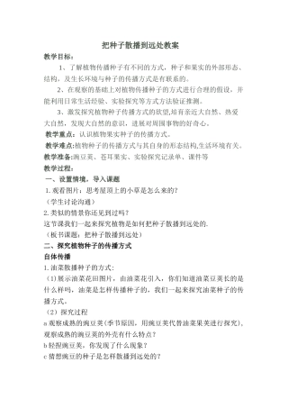 《把种子散播到远处》教案