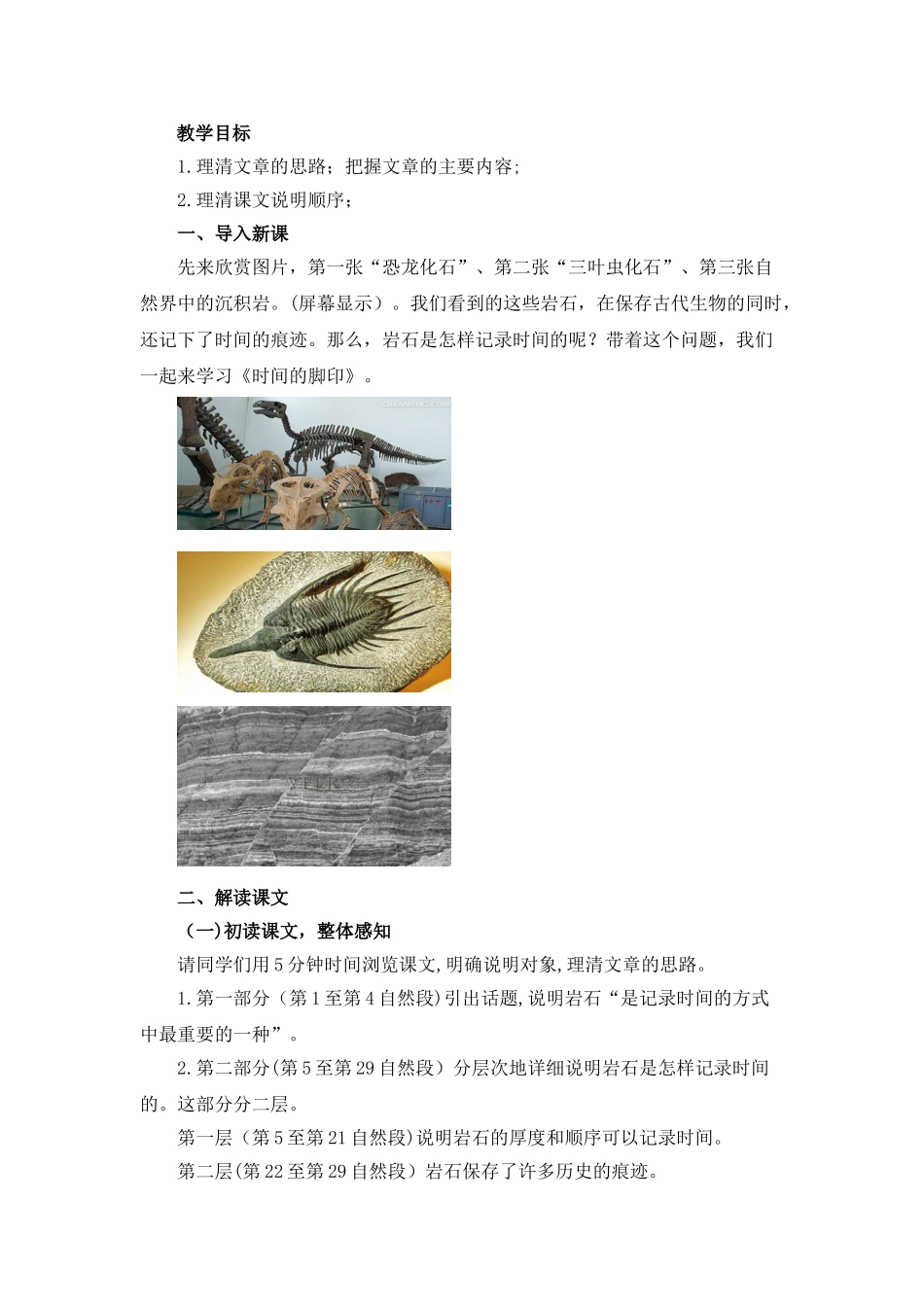 《时间的脚印》名师教案_第2页