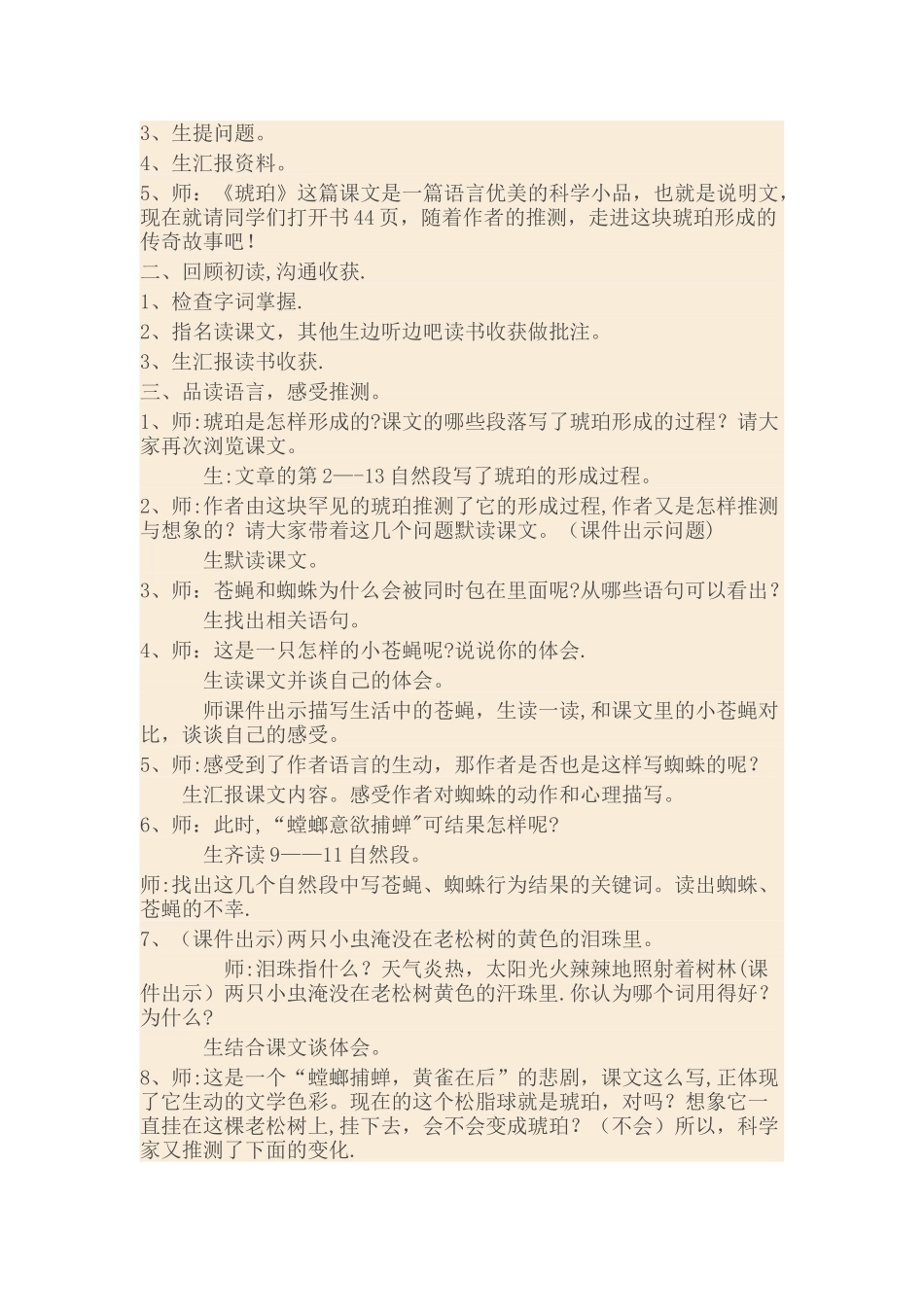 《琥珀》阅读指导课教案_第2页
