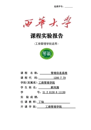《管理信息系统》课程实验报告