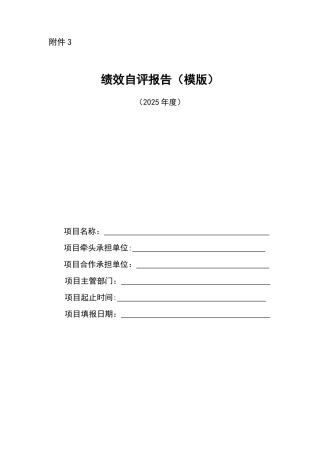 《绩效自评报告材料》