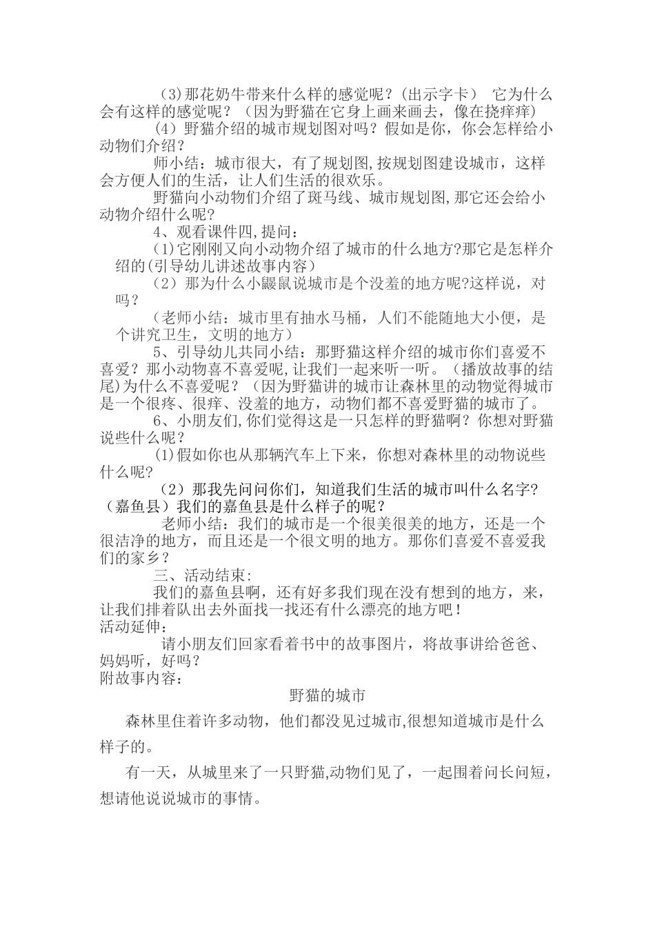 《野猫的城市》教案_第2页
