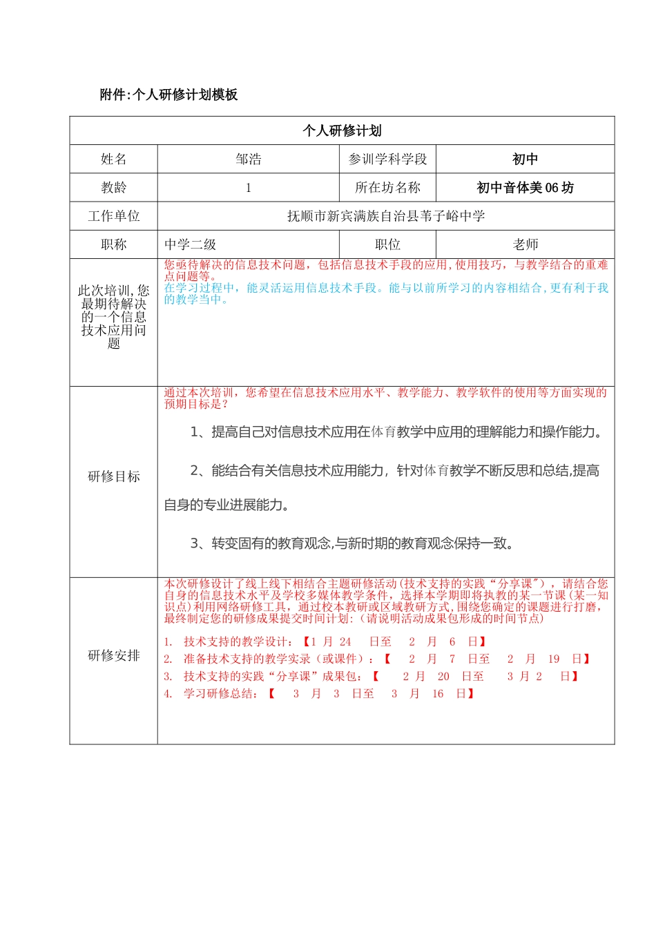 【信息技术】个人研修计划_第1页
