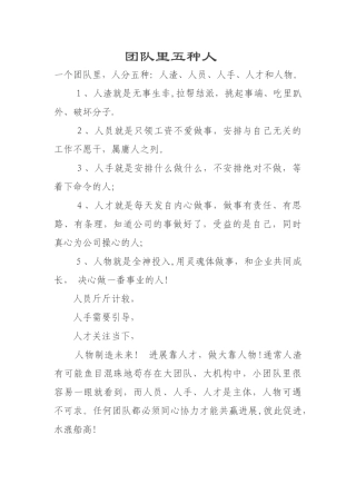 一个团队里的五种人