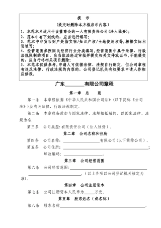 一人公司章程参考范本