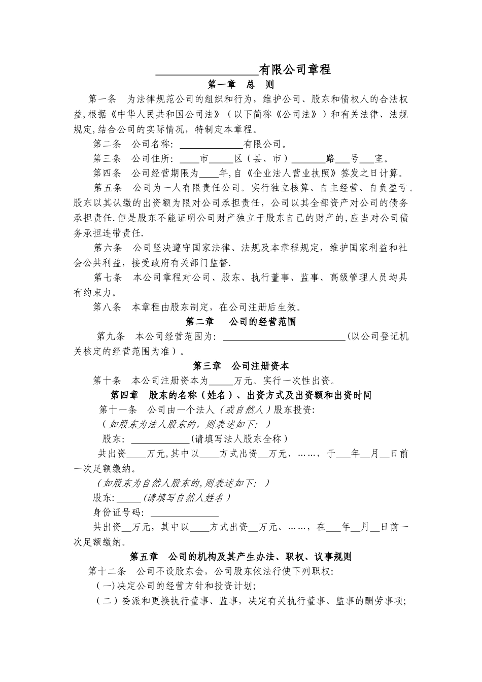 一人有限责任公司设执行董事、经理、监事的章程_第1页