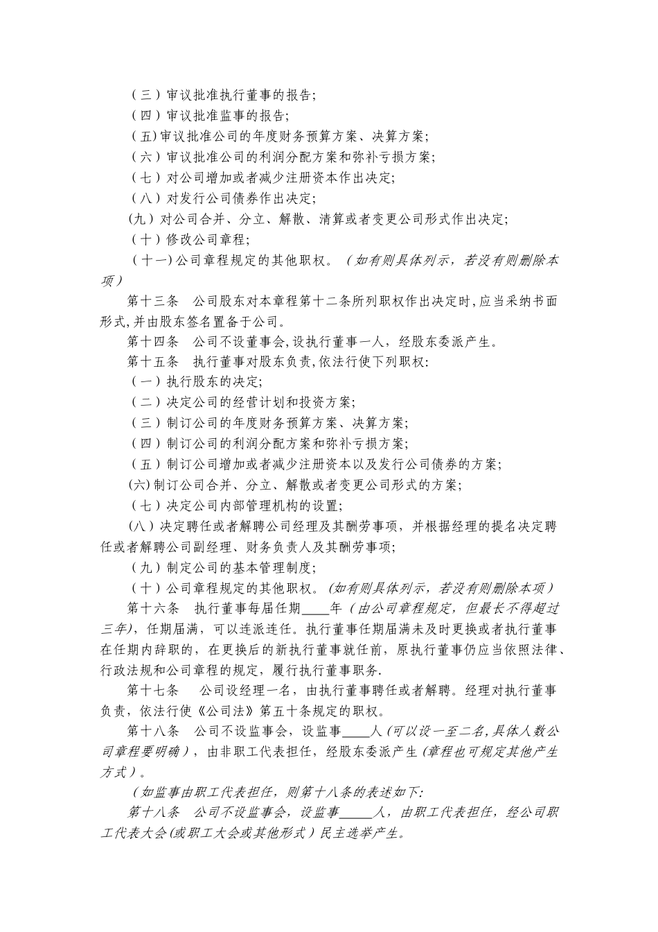 一人有限责任公司设执行董事、经理、监事的章程_第2页