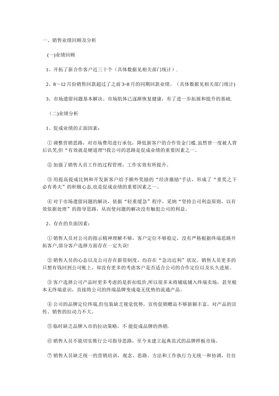 一位销售总监的年度工作总结_第1页