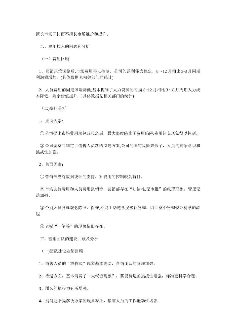 一位销售总监的年度工作总结_第2页