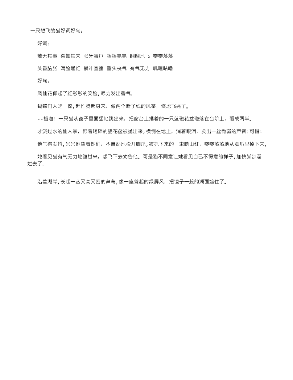 一只想飞的猫好词好句_第1页