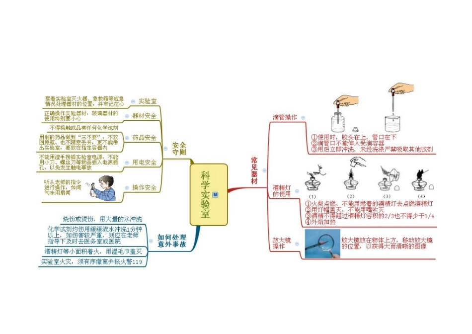 七上科学第1-3章思维导图_第3页