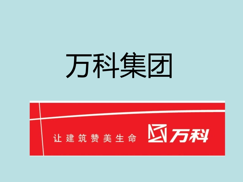 万科集团融资商业计划书_第1页
