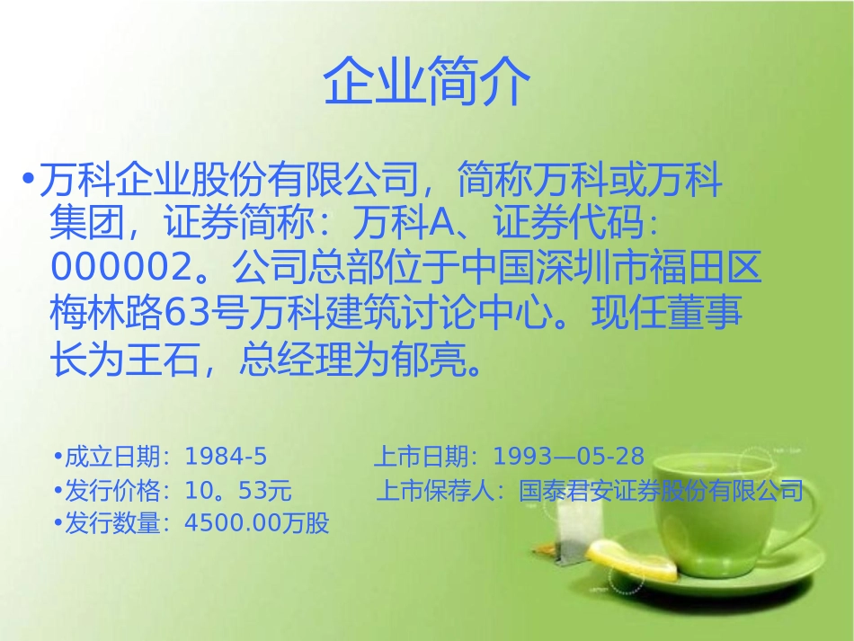 万科集团融资商业计划书_第2页