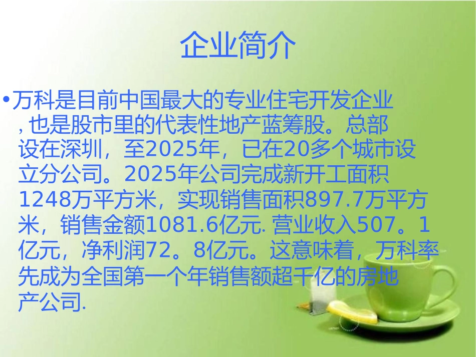 万科集团融资商业计划书_第3页