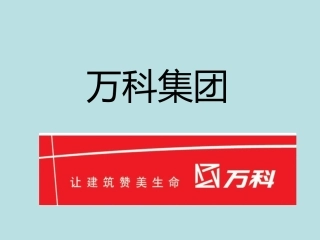 万科集团融资商业计划书