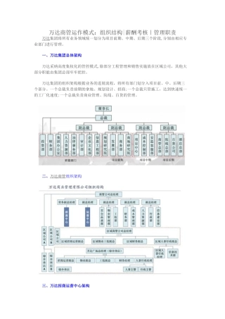 万达商业管理系统模式