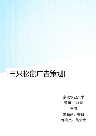 三只松鼠圣诞节广告策划方案