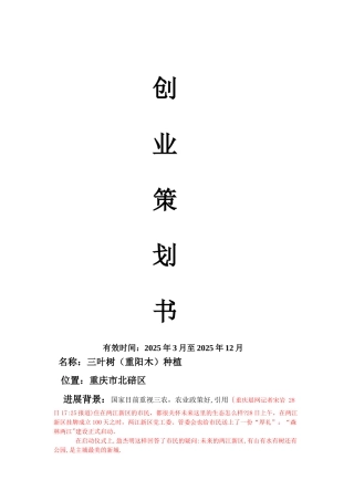三叶树创业计划书