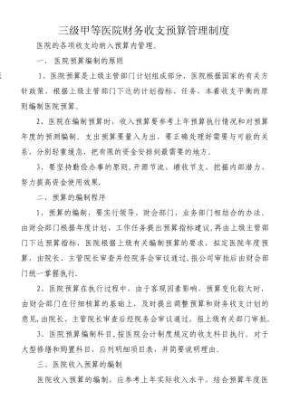 三级甲等医院预算管理制度