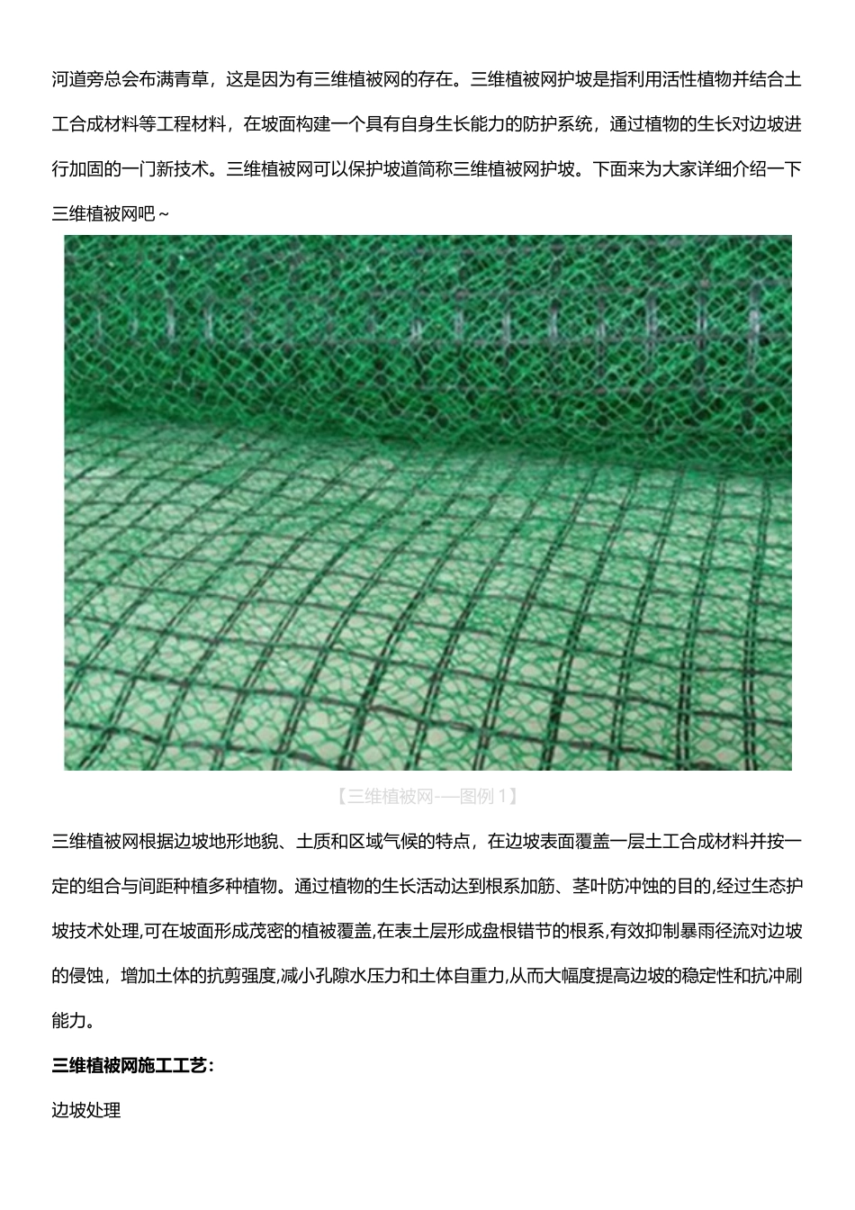 三维植被网施工工艺_第1页
