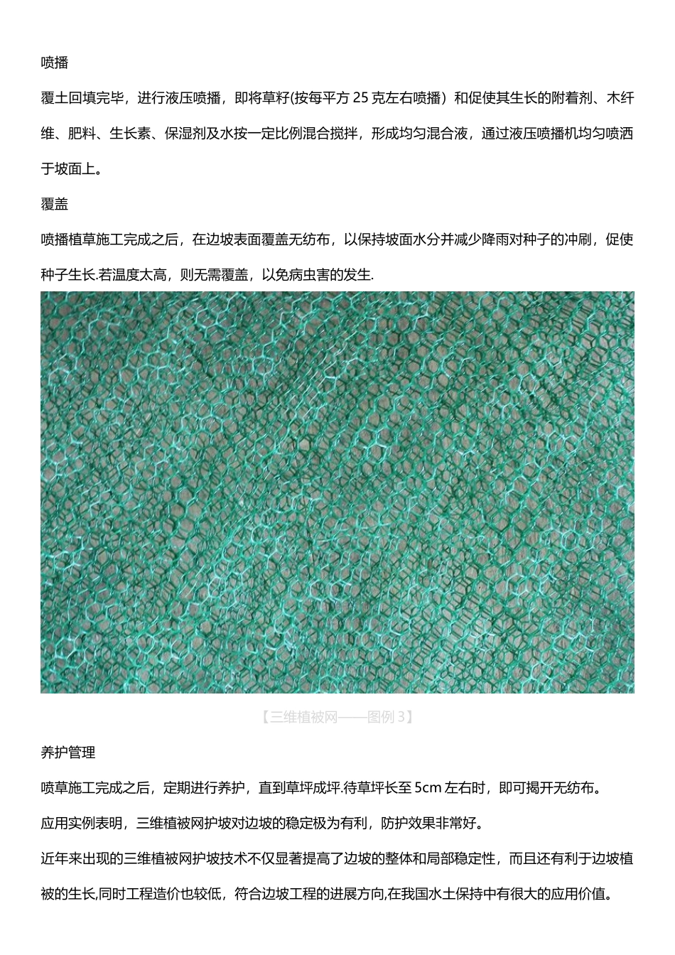 三维植被网施工工艺_第3页