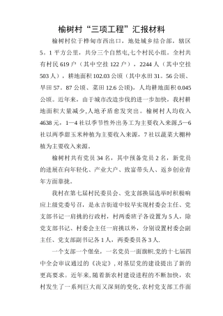 三项工程汇报材料