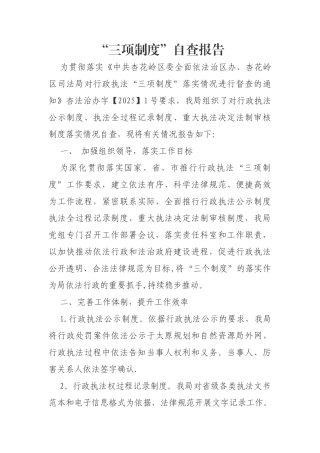 三项制度自查报告