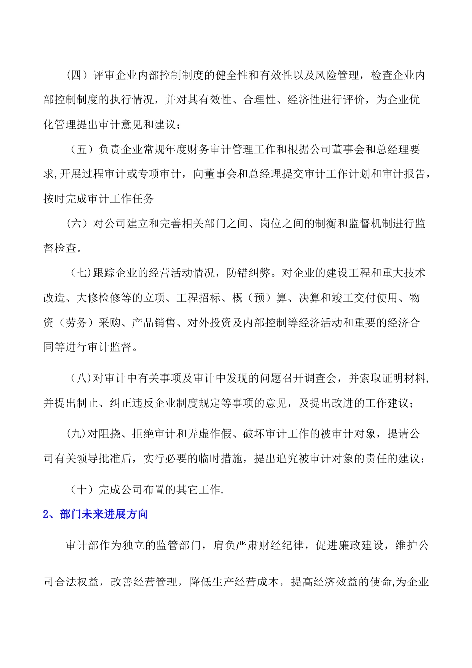 上市公司内部审计制度_第3页
