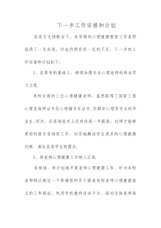下一步工作安排和计划