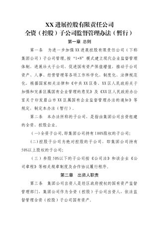 下属全资子公司监督管理办法