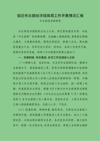 专业招商局阶段汇报材料