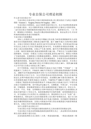 专业自保公司理论初探