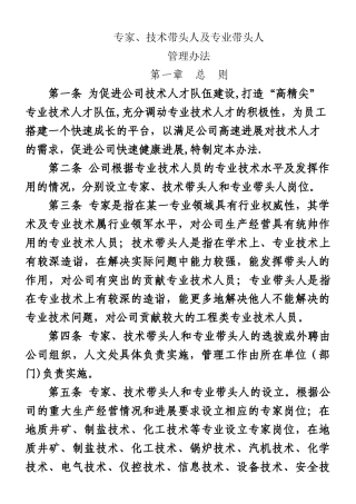 专家、技术带头人管理办法