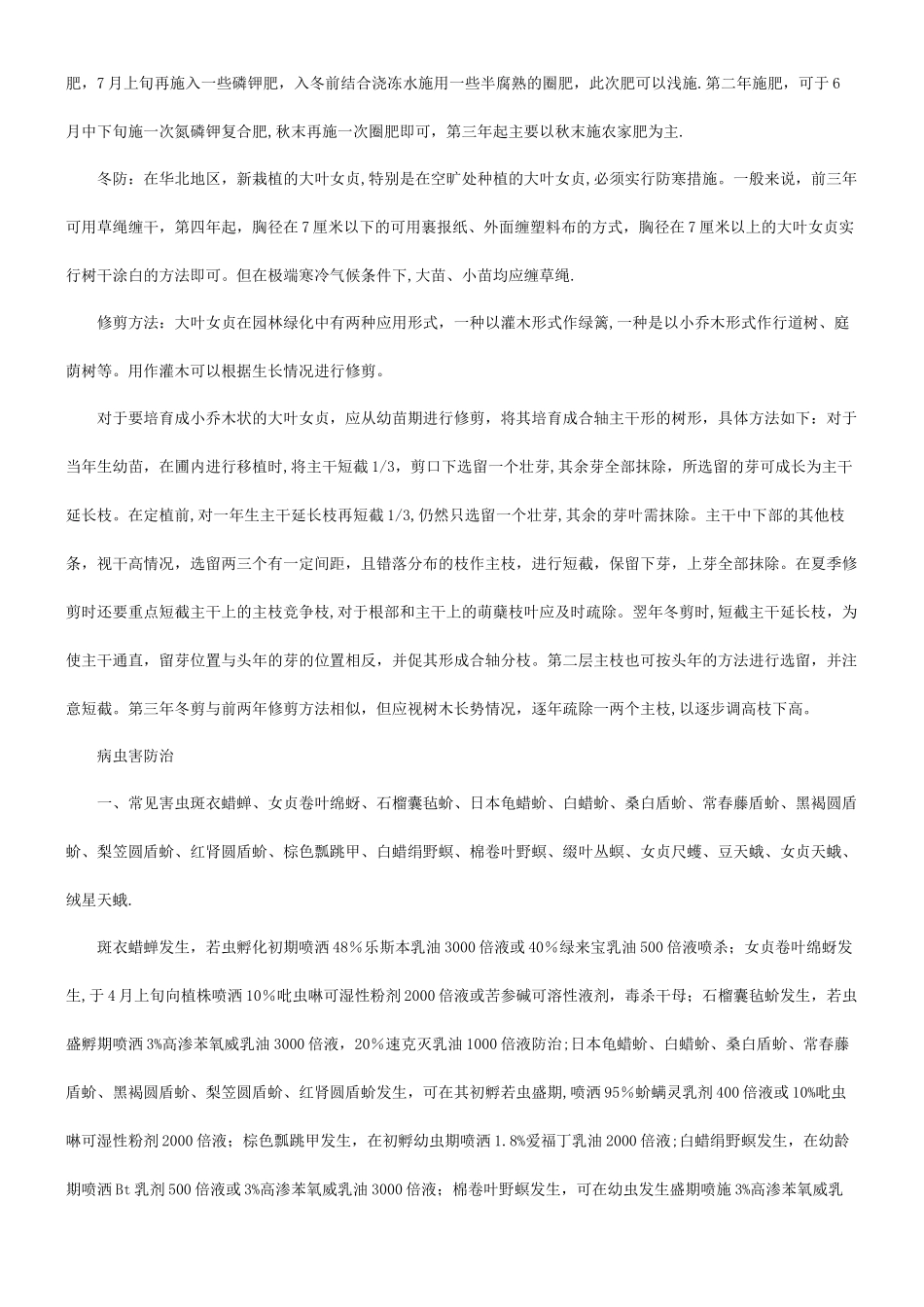 专家解析女贞大树移植移栽管理技术和方法_第2页