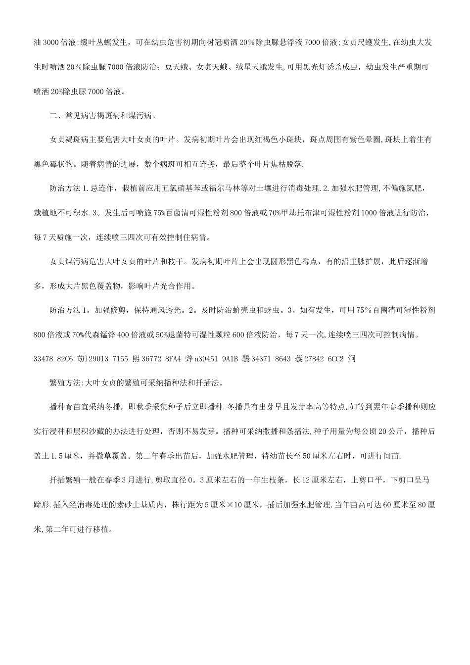 专家解析女贞大树移植移栽管理技术和方法_第3页