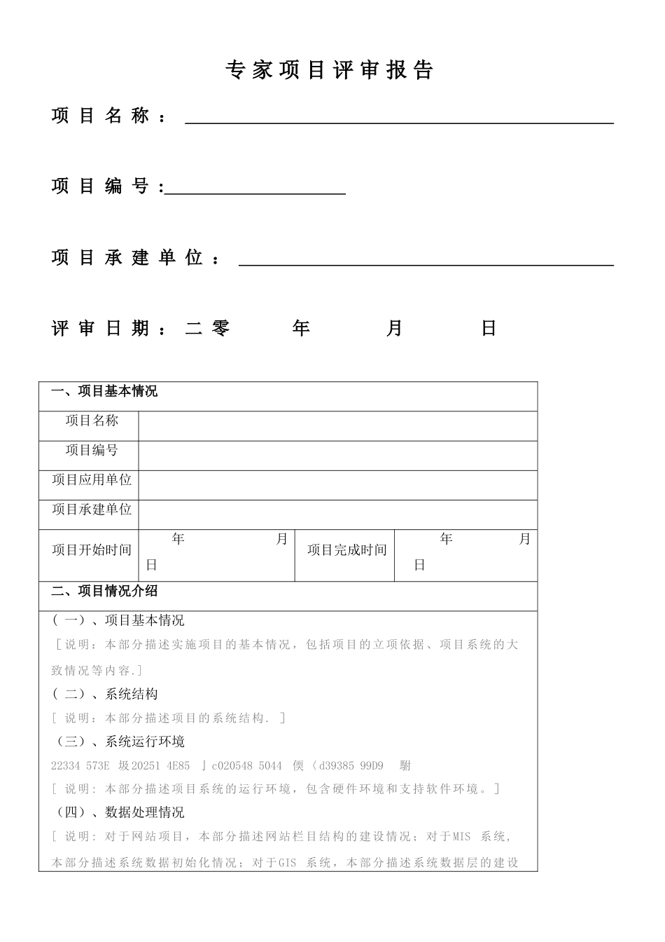 专家项目评审报告模板_第1页