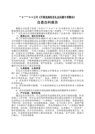 专项整治自查自纠报告