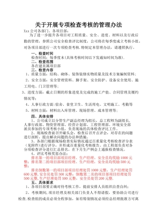 专项检查考核管理办法