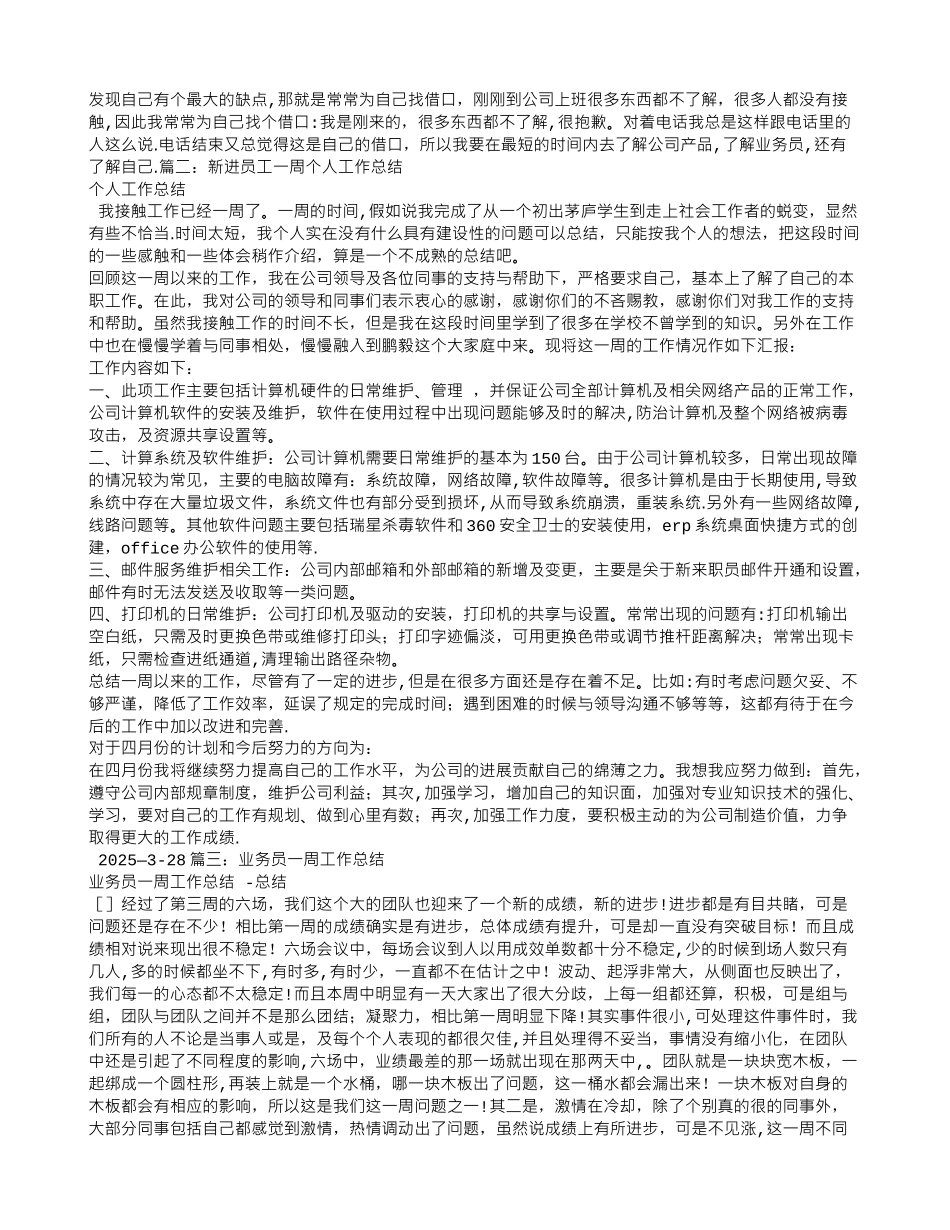 业务员一周工作总结_第2页