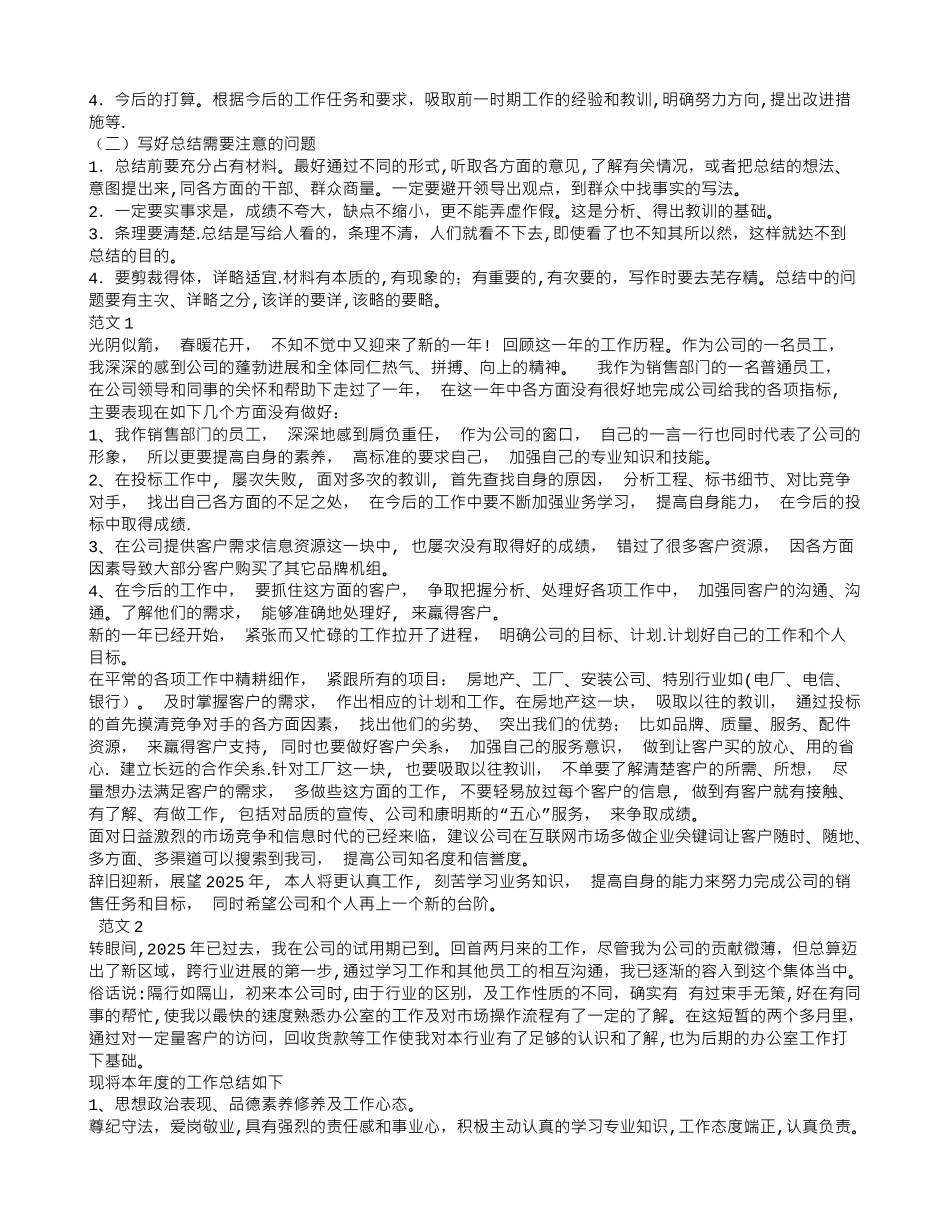 业务员年终工作总结范本_第2页