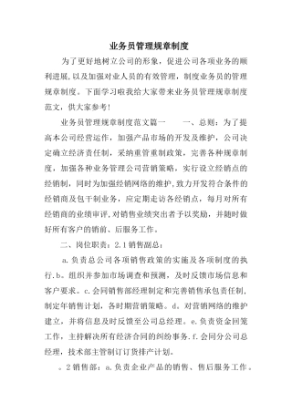 业务员管理规章制度-