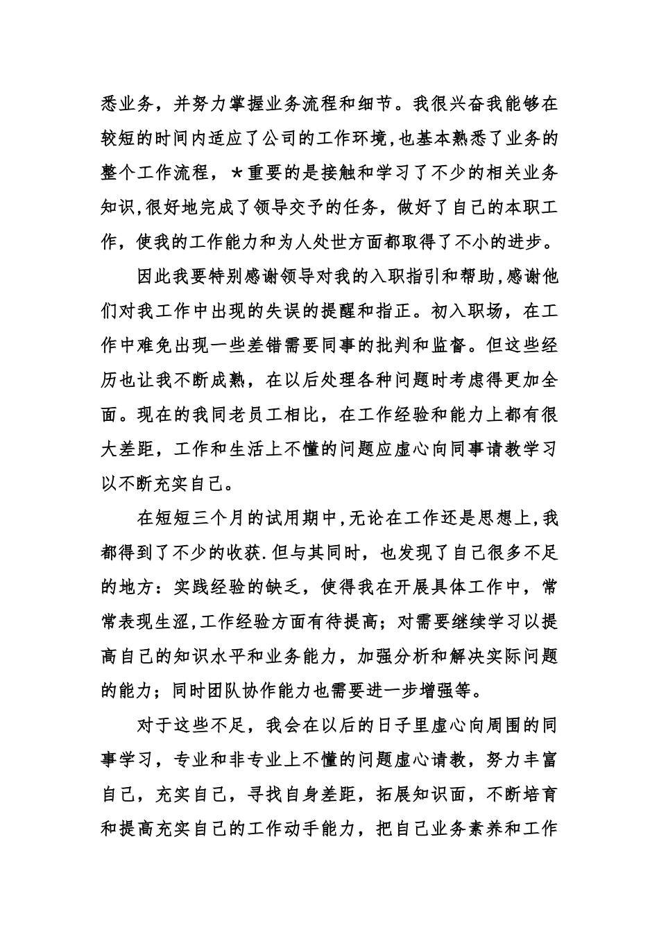 业务员试用期转正述职报告_第2页