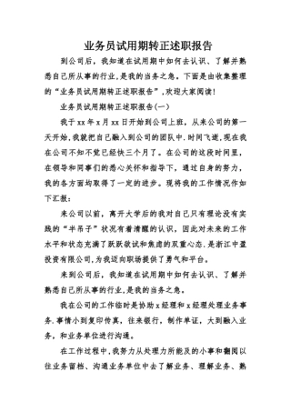 业务员试用期转正述职报告